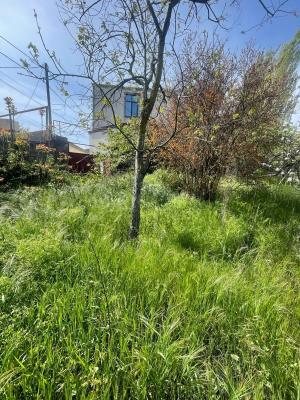 Abşeron, torpaq , satılır , 10 sot , Novxanı