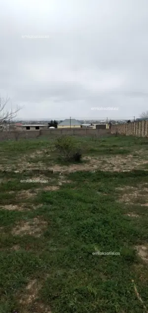 Torpaq, satılır, 24 sot, Bakı, Sabunçu rayonu, Nardaran qəs.