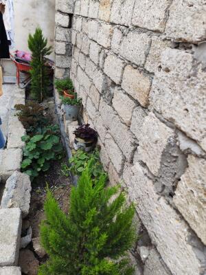 Bakı, həyət evi 3 otaqlı, satılır, 100 m² , 2 sot , Xəzər rayonu, Buzovna