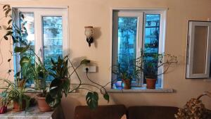 Bakı, həyət evi 4 otaqlı, satılır, 96.3 m² , 1.6 sot , Nərimanov rayonu