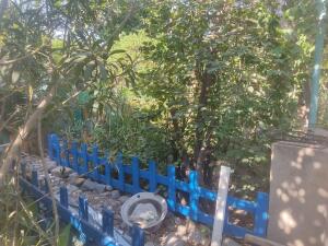 Bakı, həyət evi 4 otaqlı, satılır, 120 m² , 4.5 sot , Binəqədi rayonu, Xocəsən qəs.