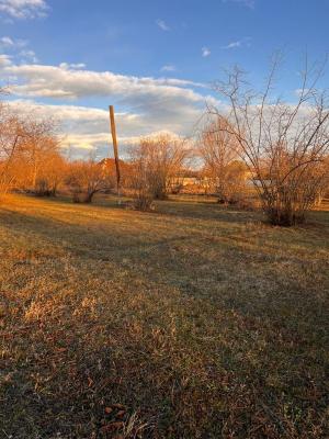 Qəbələ, torpaq , satılır , 30 sot 