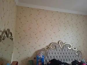 Bakı, bağ/həyət evi 5 otaqlı, kirayə, 180 m² , 4 sot , Binəqədi rayonu, Binəqədi qəs.