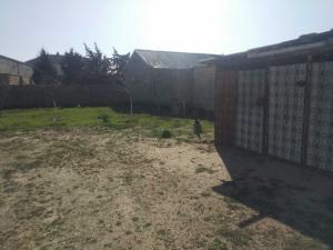 Участок земли, продажа, 6 sot, Бакы, Сабунчу рајону, Албалы гәс.