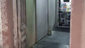 Bakı, obyekt 1 otaqlı, satılır, 10 m²  , Nəsimi rayonu