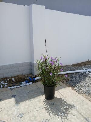 Bakı, həyət evi 4 otaqlı, satılır, 127 m² , 2 sot , Sabunçu rayonu, Maştağa qəs.