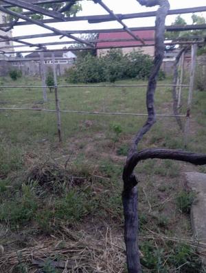 Bakı, torpaq , satılır , 14 sot , Xəzər rayonu, Şüvəlan