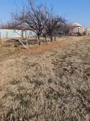 Naxçıvan, torpaq , satılır , 50 sot 