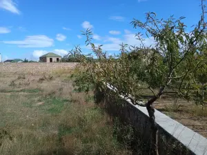 Участок земли, продажа, 12.7 sot, Бакы, Сабунчу рајону, Албалы гәс.