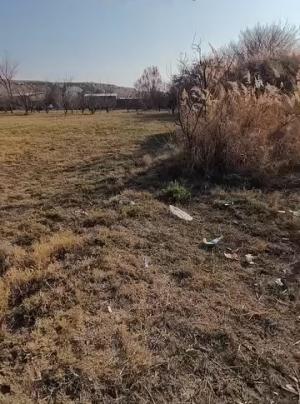 Naxçıvan, torpaq , satılır , 50 sot 