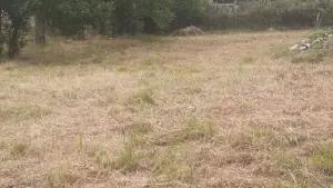 Oğuz, torpaq , satılır , 12 sot 