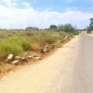 Bakı, torpaq , satılır , 12 sot , Sabunçu rayonu, Nardaran qəs.