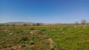 Hacıqabul, obyekt , satılır, 1000 m²  