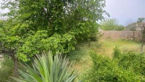 Bakı, obyekt 1 otaqlı, satılır, 1000 m²  , Sabunçu rayonu, Maştağa qəs.