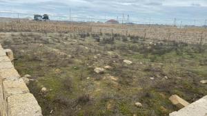 Bakı, torpaq , satılır , 4 sot , Xəzər rayonu, Buzovna