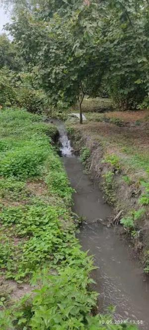 Oğuz, torpaq , satılır , 100 sot 