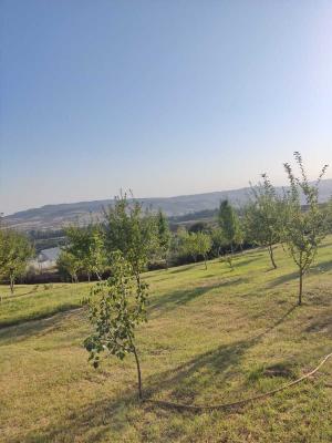 İsmayıllı, torpaq , satılır , 18 sot 