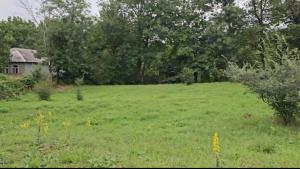 Qəbələ, torpaq , satılır , 24 sot 