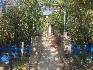 Bakı, həyət evi 4 otaqlı, satılır, 120 m² , 4.5 sot , Binəqədi rayonu, Xocəsən qəs.