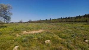 Hacıqabul, obyekt , satılır, 1000 m²  
