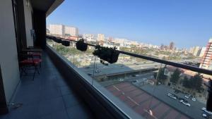 Bakı, yeni tikili 2 otaqlı, satılır, 100 m²  , Yasamal rayonu, Yasamal qəs.