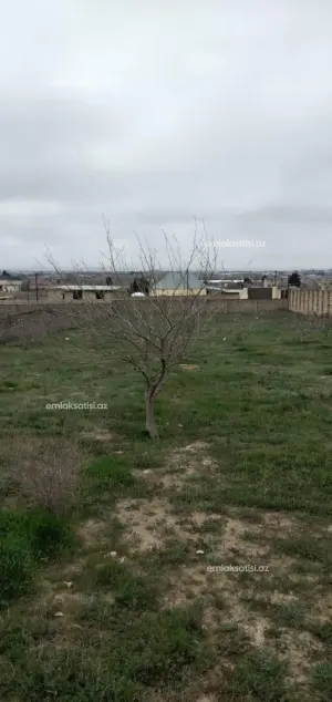 Torpaq, satılır, 24 sot, Bakı, Sabunçu rayonu, Nardaran qəs.