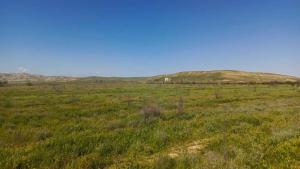 Hacıqabul, obyekt , satılır, 1000 m²  