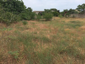 Bakı, torpaq , satılır , 30 sot , Xəzər rayonu, Mərdəkan