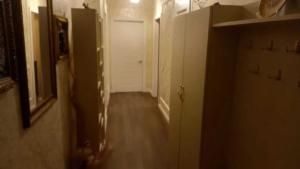 Bakı, yeni tikili 2 otaqlı, satılır, 58 m²  , Yasamal rayonu, Yasamal qəs.