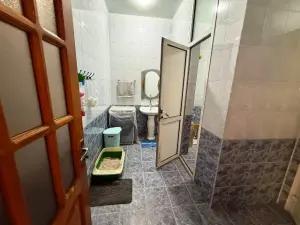 Bakı, bağ/həyət evi 5 otaqlı, satılır, 240 m² , 3 sot , Sabunçu rayonu, Bakıxanov qəs.